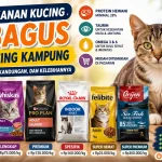 Merk Makanan Kucing yang Bagus untuk Kucing Kampung: Perbandingan Harga, Kandungan, dan Kelebihannya