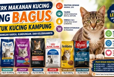 Merk Makanan Kucing yang Bagus untuk Kucing Kampung: Perbandingan Harga, Kandungan, dan Kelebihannya