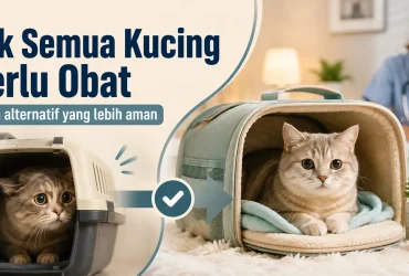 Apakah Obat Penenang Kucing Benar-Benar Diperlukan? Ini Alternatif yang Bisa Dicoba