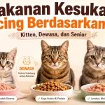 Makanan Kesukaan Kucing Berdasarkan Usia: Kitten, Dewasa, dan Senior