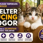 5 Shelter Kucing Bogor yang Peduli Selamatkan Anabul Terlantar