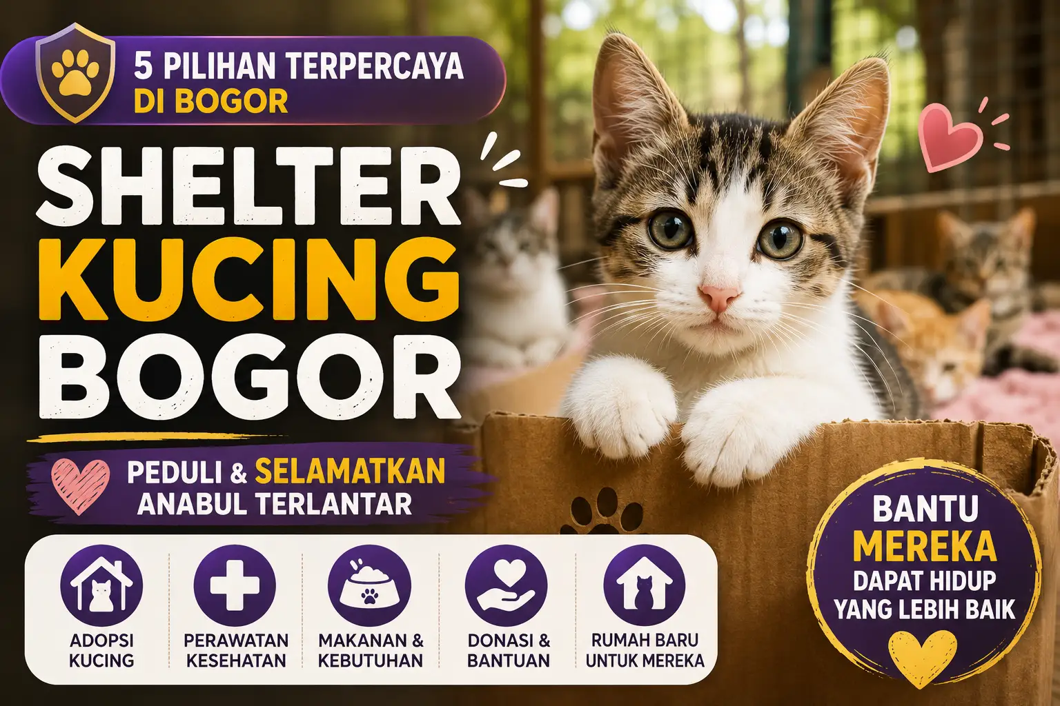 5 Shelter Kucing Bogor yang Peduli Selamatkan Anabul Terlantar