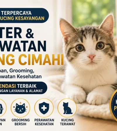 5 Shelter Kucing Cimahi dan Tempat Perawatan Anabul yang Bisa Jadi Pilihan 5 Shelter Kucing Cimahi dan Tempat Perawatan Anabul yang Bisa Jadi Pilihan