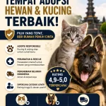 Shelter Kucing Salatiga Mana yang Masih Bisa Dihubungi?