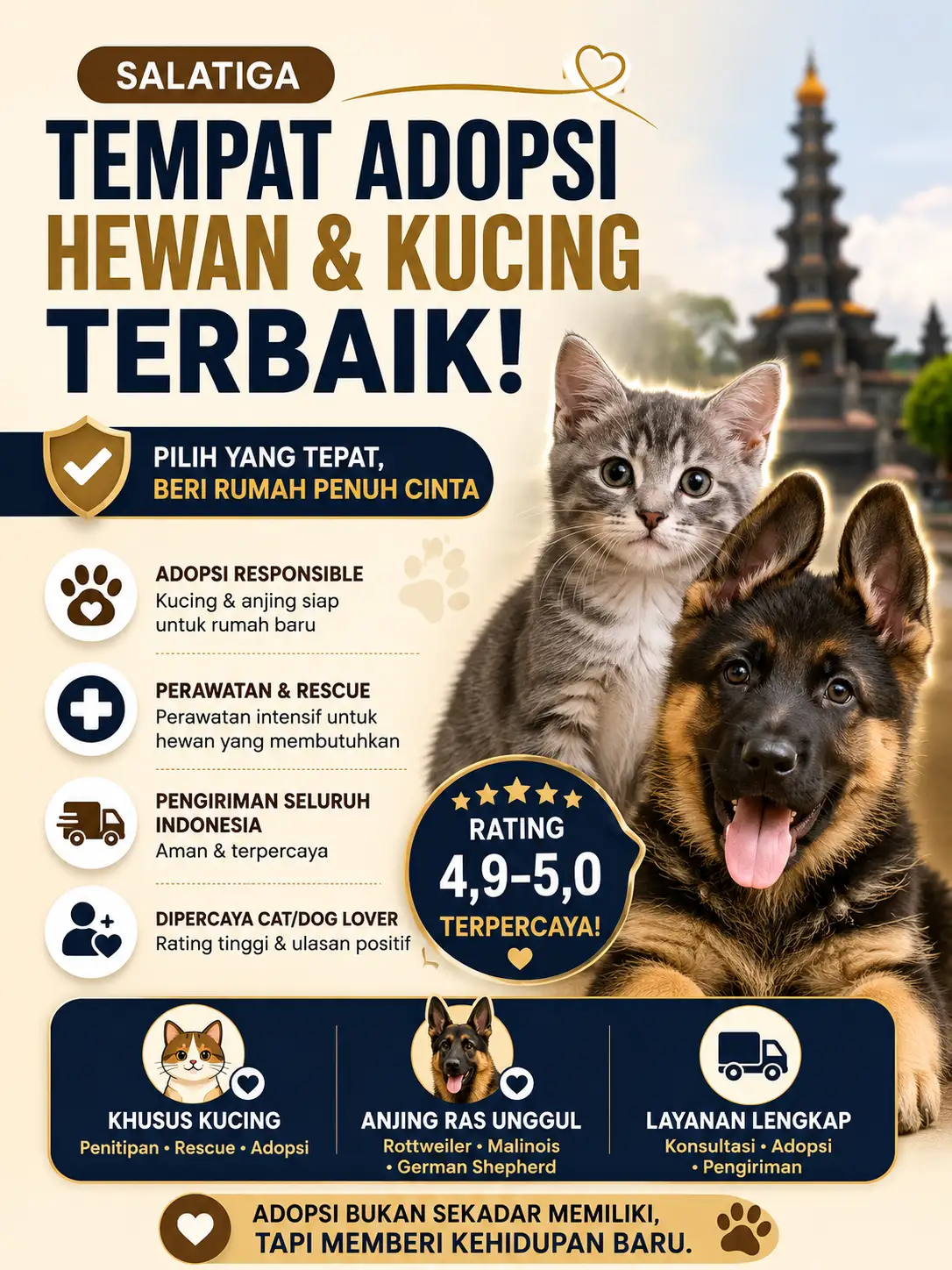 Shelter Kucing Salatiga Mana yang Masih Bisa Dihubungi?