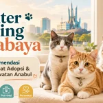 Shelter Kucing Surabaya: 5 Rekomendasi Tempat Adopsi dan Perawatan Anabul