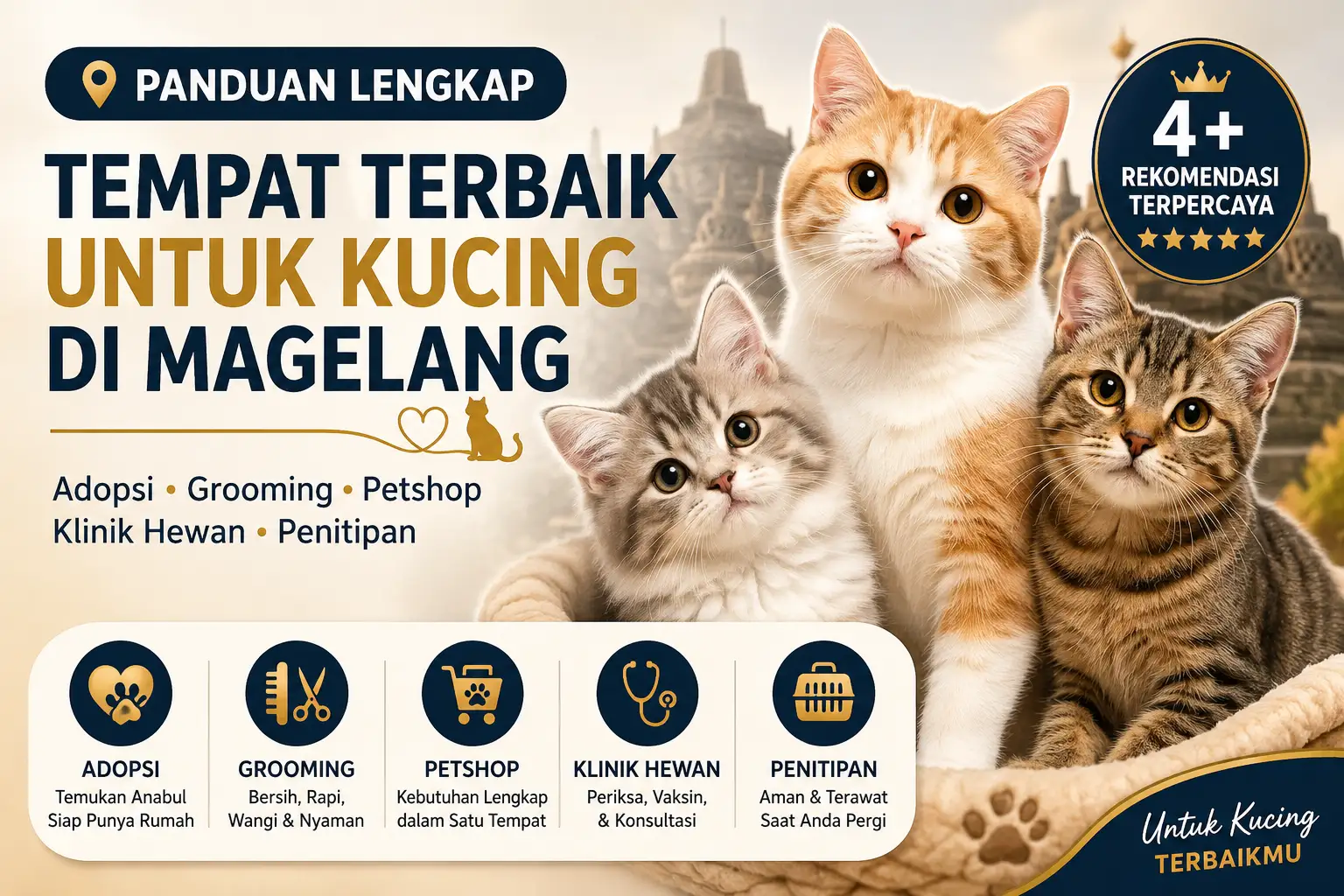 Shelter Kucing Magelang dengan Layanan Adopsi hingga Grooming Shelter Kucing Magelang dengan Layanan Adopsi hingga Grooming